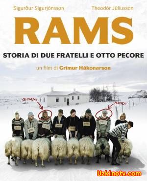 Бараны / Rams / Hrutar (2015)