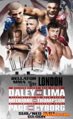 Смешанные единоборства - MMA. Bellator 158: Daley vs. Lima (2016)
