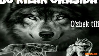 BO'RILAR ORASIDA / БЎРИЛАР ОРАСИДАª - Хориж киноси Ўзбек тилида