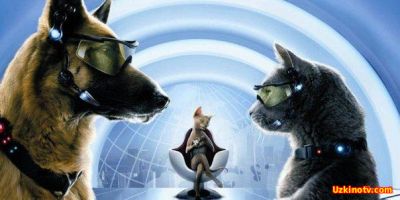 Мушиклар Итларга Карши узбек тилида \ Mushuklar itlarga qarshi uzbek tilida