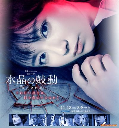 Пульсирующий кристалл: Отдел по анализу убийств / Suisho no Kodo Satsujin Bunsekihan [2016]