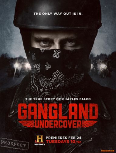 Под прикрытием / Gangland Undercover (2 сезон)