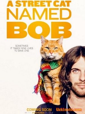 Уличный кот по кличке Боб / A Street Cat Named Bob (2016)