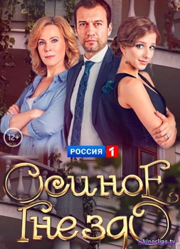 Осиное гнездо (2017) 1-16,17 серия