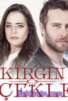 Kırgın Çiçekler 71.Bölüm izle Tek Parça