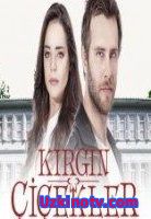 Kırgın Çiçekler 88,89,90,91 Bölüm  izle Tek Parça