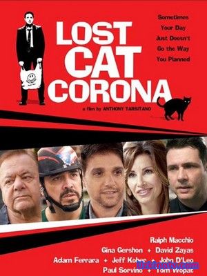 В Короне пропал кот / Lost Cat Corona (2017)