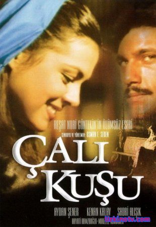 Королек – птичка певчая / Calikusu Все серии (1986) турецкий сериал