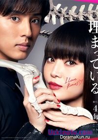 Кости, зарытые под ногами Сакурако / Sakurako-san no Ashimoto ni wa Shitai ga Umatteiru [2017] дорама